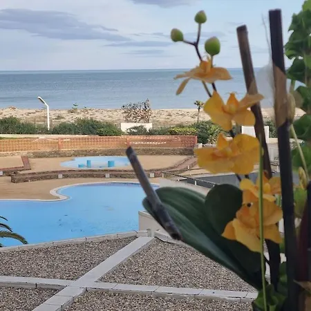 Grand Studio, Piscine, Vue Magnifique Plage, 4 Personnes, Secteur Allee Des Arts Le Lydia Apartment *